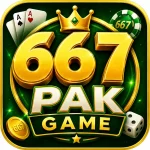 667 Pak Game