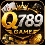 Q789 Game